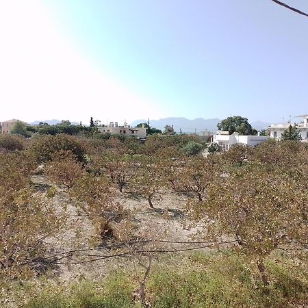 Miranta Hotel - Apartments & Studios Aegina ภายนอก รูปภาพ
