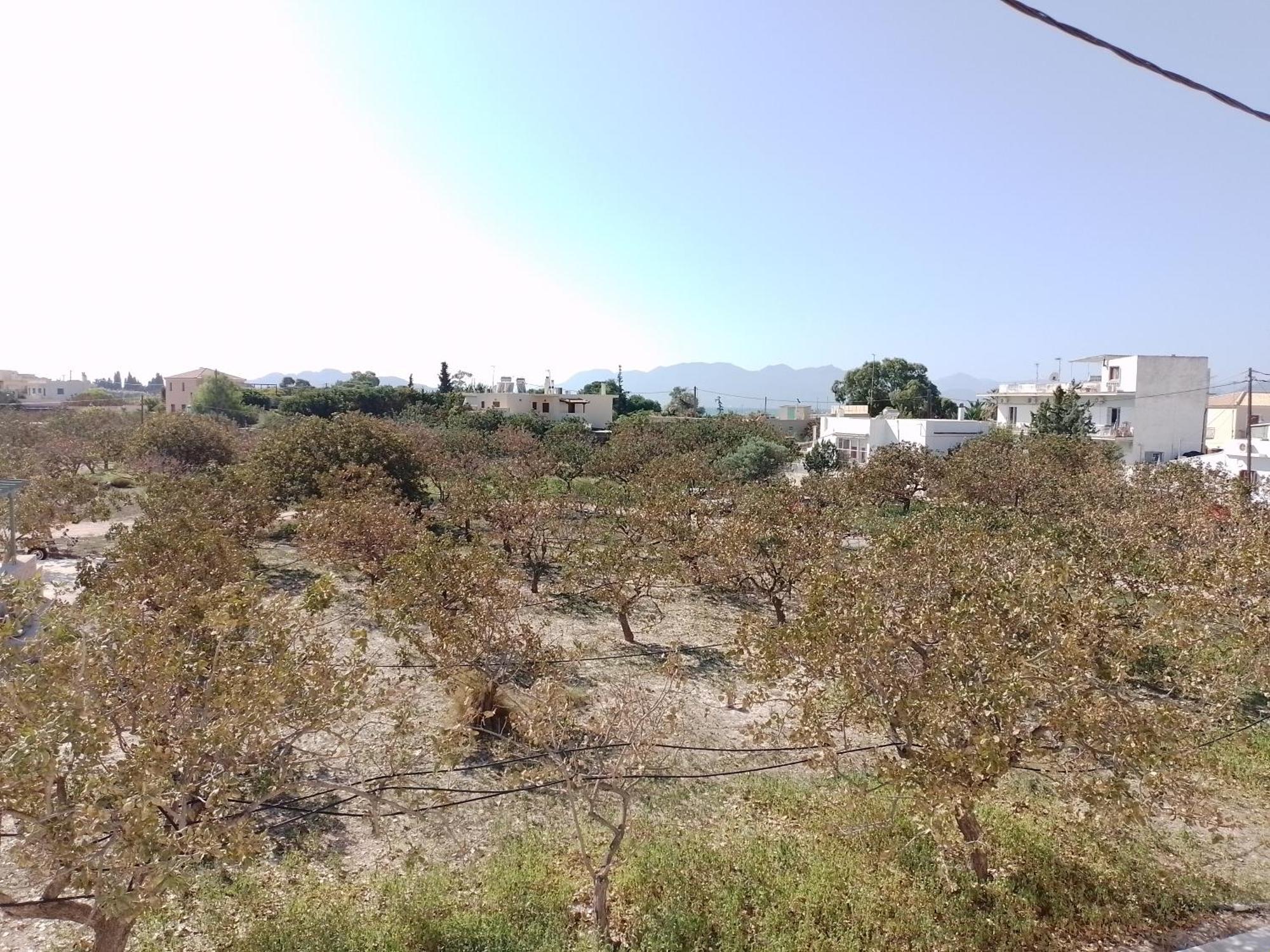 Miranta Hotel - Apartments & Studios Aegina ภายนอก รูปภาพ